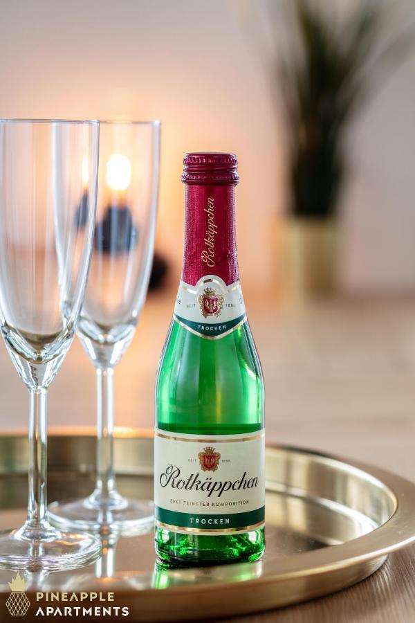Pineapple Apartments Dresden Altstadt IV - 91 Qm - 1X Free Parking Εξωτερικό φωτογραφία